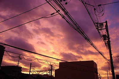 20110718.jpg